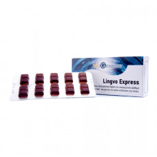 VIOGEN.LINGVO EXPRES DOUBLE LOZ.X30